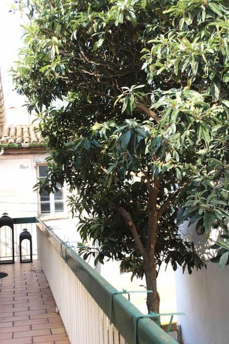 Spacieux Appartement 4 Couchages, Terrasse Privee Narbona Exterior foto